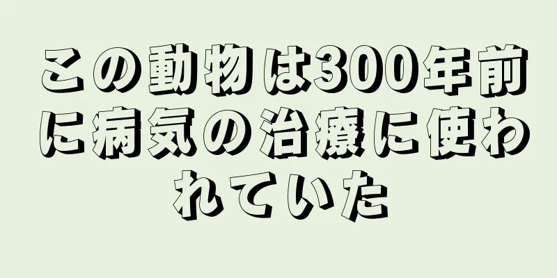 この動物は300年前に病気の治療に使われていた