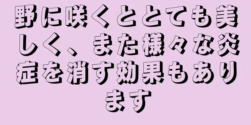 野に咲くととても美しく、また様々な炎症を消す効果もあります