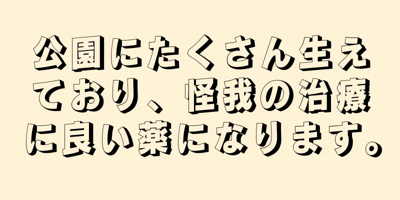 公園にたくさん生えており、怪我の治療に良い薬になります。
