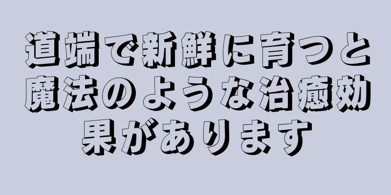 道端で新鮮に育つと魔法のような治癒効果があります