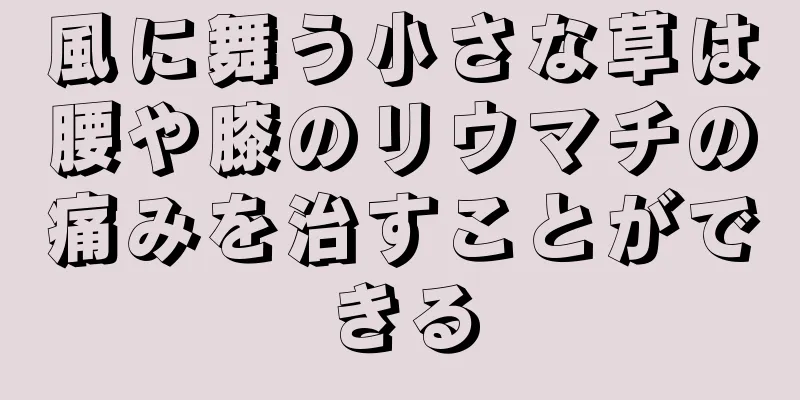 風に舞う小さな草は腰や膝のリウマチの痛みを治すことができる