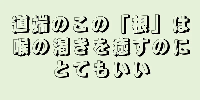 道端のこの「根」は喉の渇きを癒すのにとてもいい
