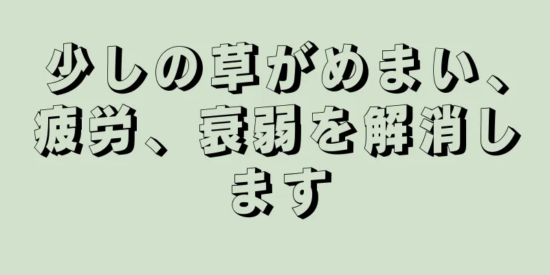 少しの草がめまい、疲労、衰弱を解消します