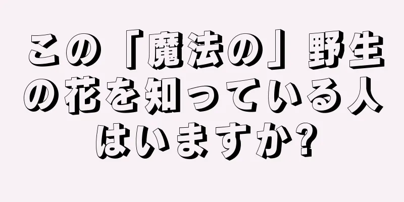 この「魔法の」野生の花を知っている人はいますか?