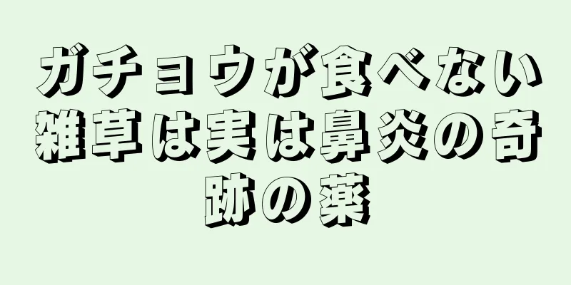 ガチョウが食べない雑草は実は鼻炎の奇跡の薬