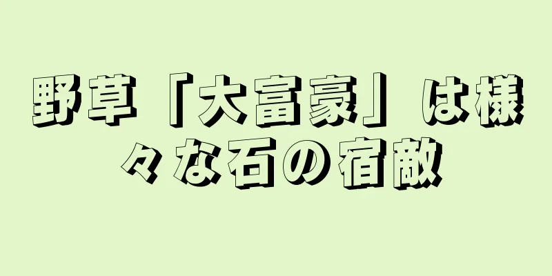 野草「大富豪」は様々な石の宿敵