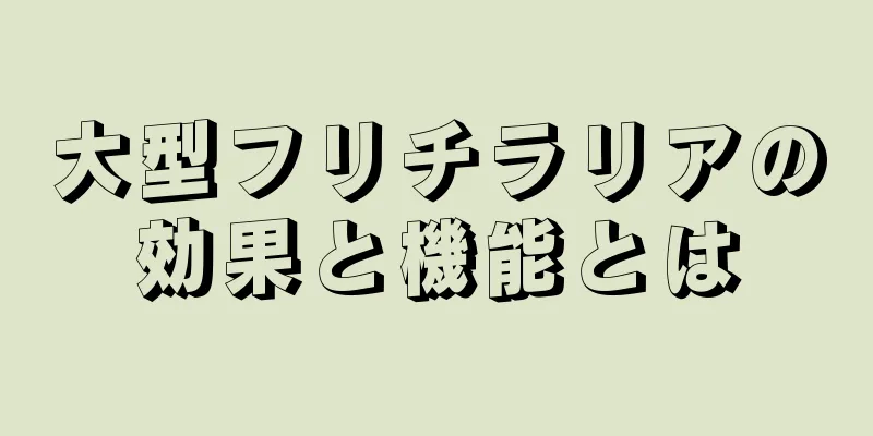 大型フリチラリアの効果と機能とは