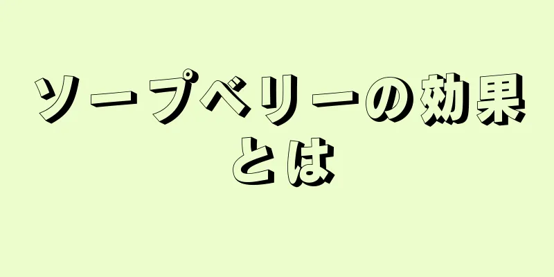 ソープベリーの効果とは