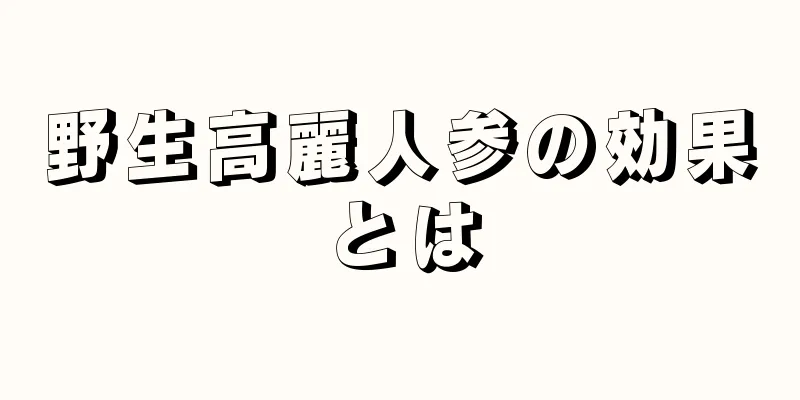 野生高麗人参の効果とは