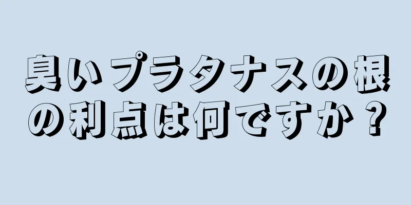 臭いプラタナスの根の利点は何ですか？