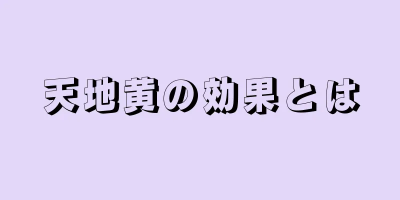 天地黄の効果とは