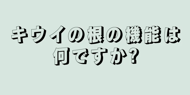 キウイの根の機能は何ですか?
