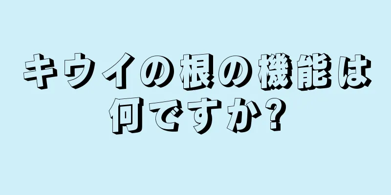 キウイの根の機能は何ですか?