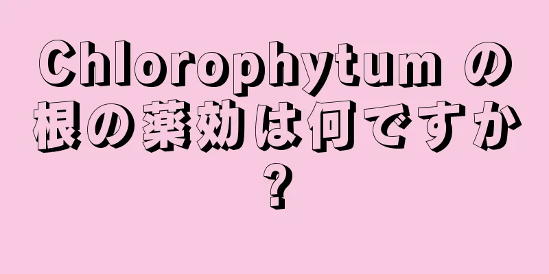 Chlorophytum の根の薬効は何ですか?