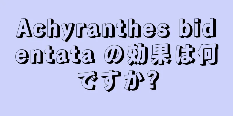Achyranthes bidentata の効果は何ですか?