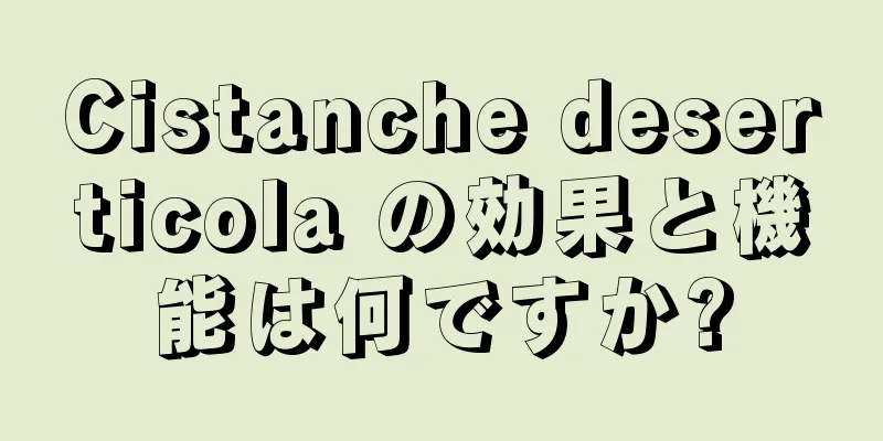 Cistanche deserticola の効果と機能は何ですか?