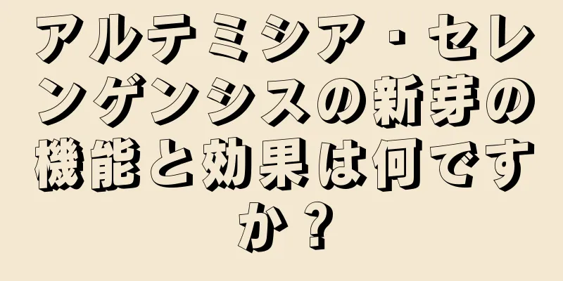 アルテミシア・セレンゲンシスの新芽の機能と効果は何ですか？