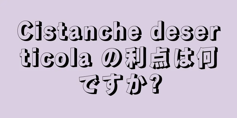 Cistanche deserticola の利点は何ですか?