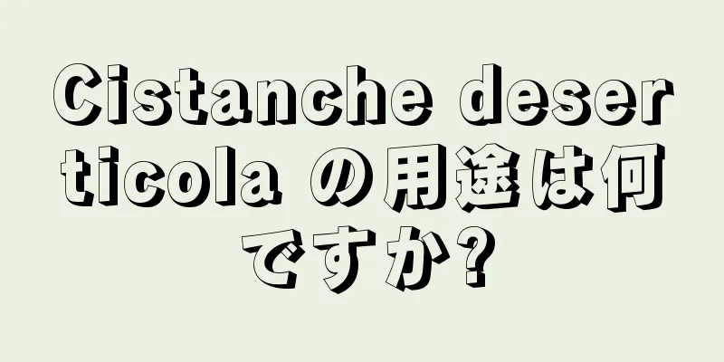 Cistanche deserticola の用途は何ですか?