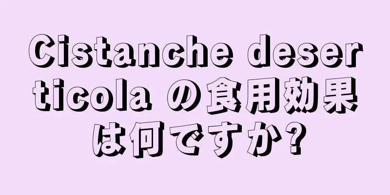 Cistanche deserticola の食用効果は何ですか?