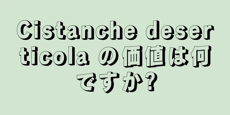 Cistanche deserticola の価値は何ですか?