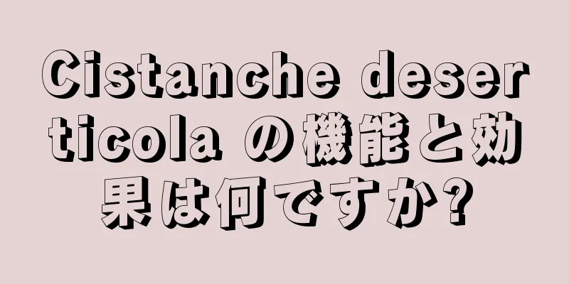 Cistanche deserticola の機能と効果は何ですか?