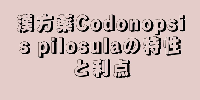 漢方薬Codonopsis pilosulaの特性と利点