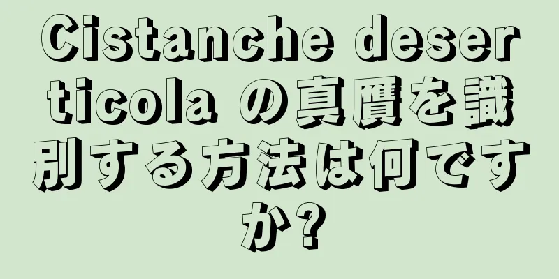 Cistanche deserticola の真贋を識別する方法は何ですか?