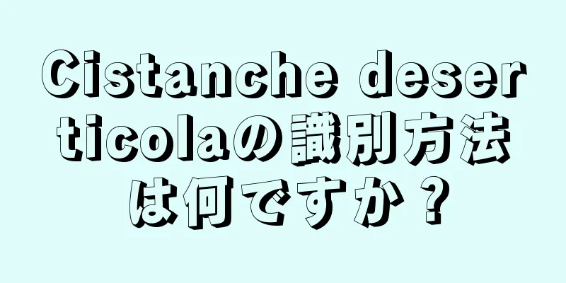 Cistanche deserticolaの識別方法は何ですか？