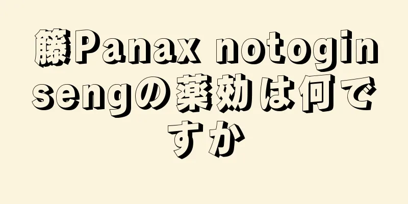 籐Panax notoginsengの薬効は何ですか