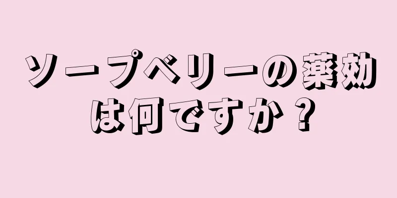 ソープベリーの薬効は何ですか？