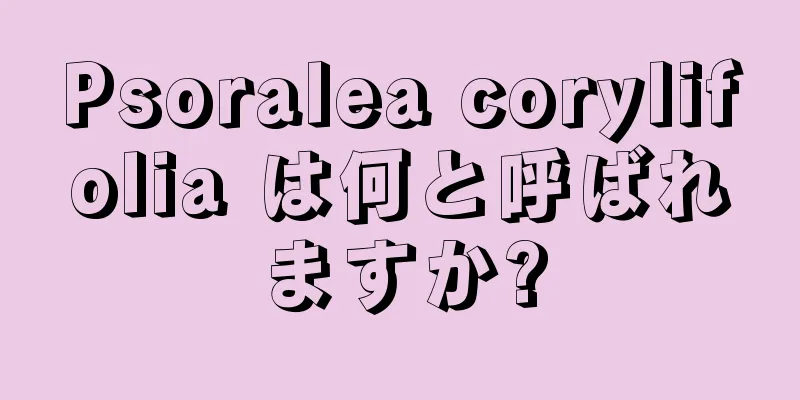 Psoralea corylifolia は何と呼ばれますか?