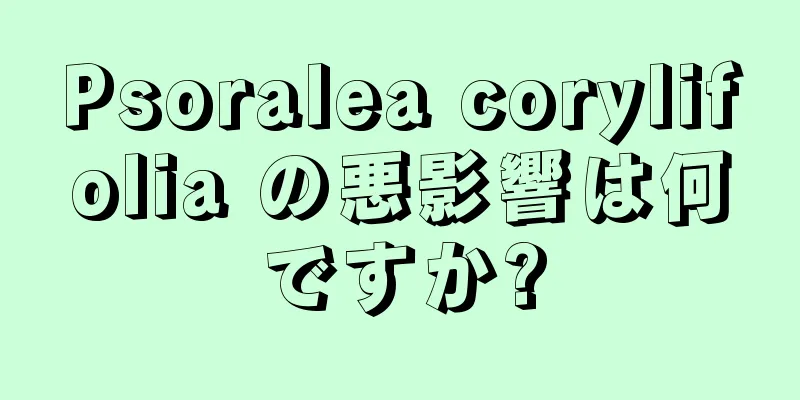 Psoralea corylifolia の悪影響は何ですか?