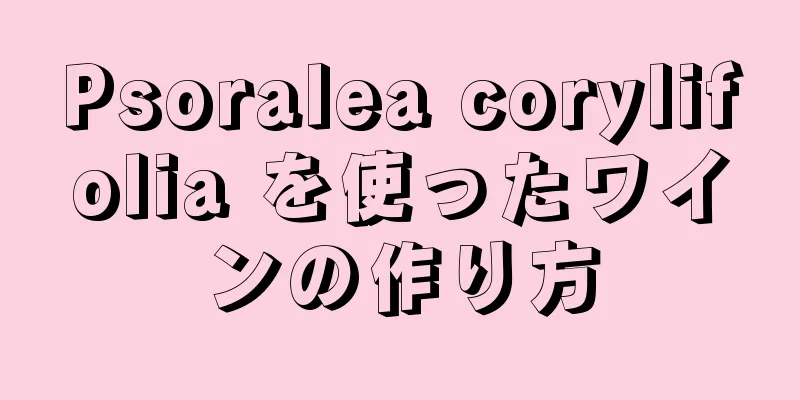 Psoralea corylifolia を使ったワインの作り方