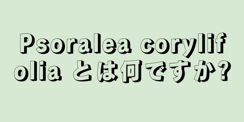 Psoralea corylifolia とは何ですか?