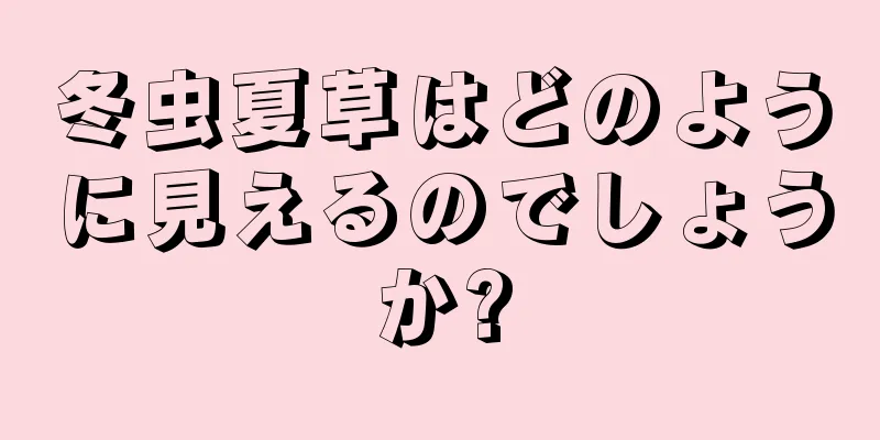 冬虫夏草はどのように見えるのでしょうか?