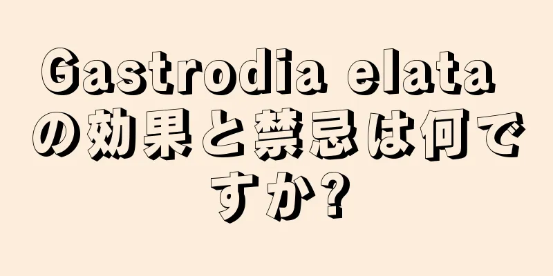 Gastrodia elata の効果と禁忌は何ですか?