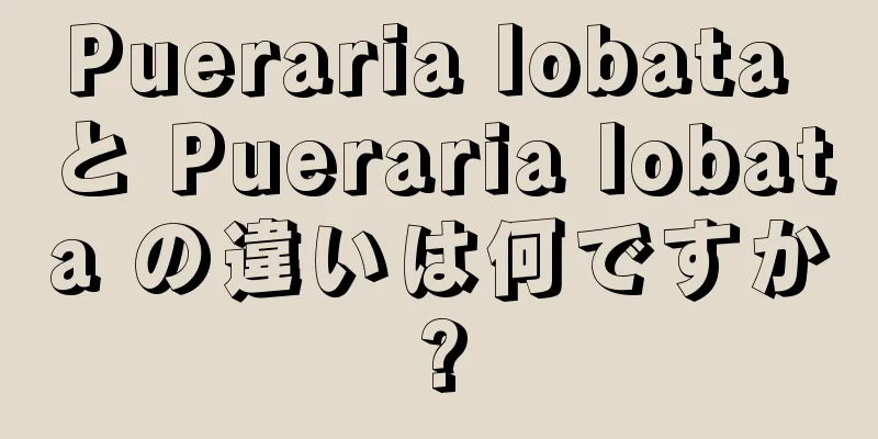 Pueraria lobata と Pueraria lobata の違いは何ですか?