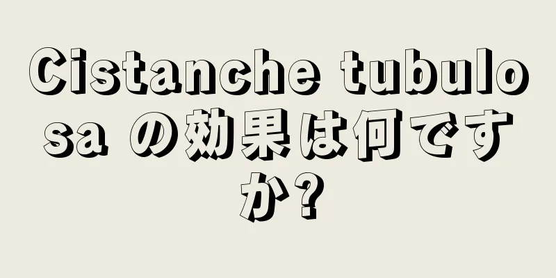 Cistanche tubulosa の効果は何ですか?