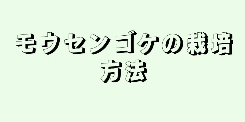 モウセンゴケの栽培方法