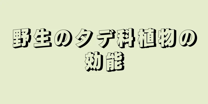 野生のタデ科植物の効能
