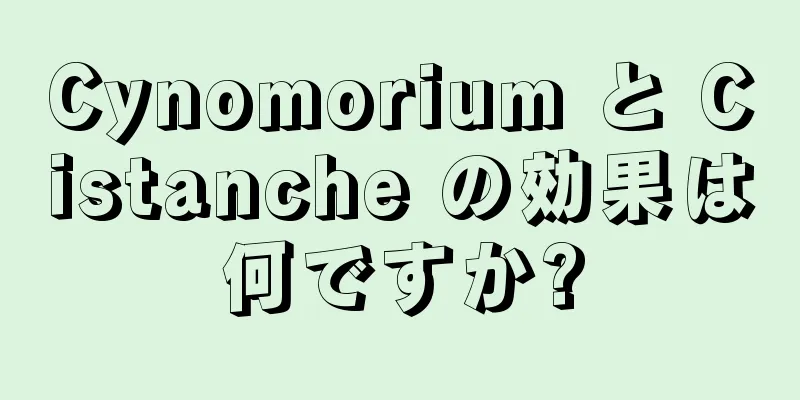 Cynomorium と Cistanche の効果は何ですか?