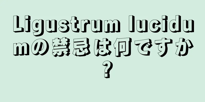 Ligustrum lucidumの禁忌は何ですか？