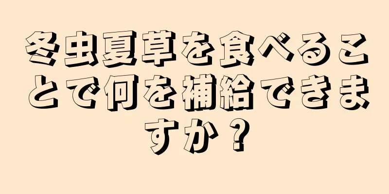 冬虫夏草を食べることで何を補給できますか？