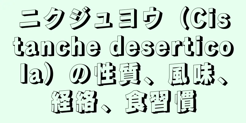 ニクジュヨウ（Cistanche deserticola）の性質、風味、経絡、食習慣