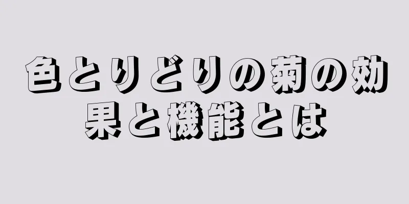 色とりどりの菊の効果と機能とは