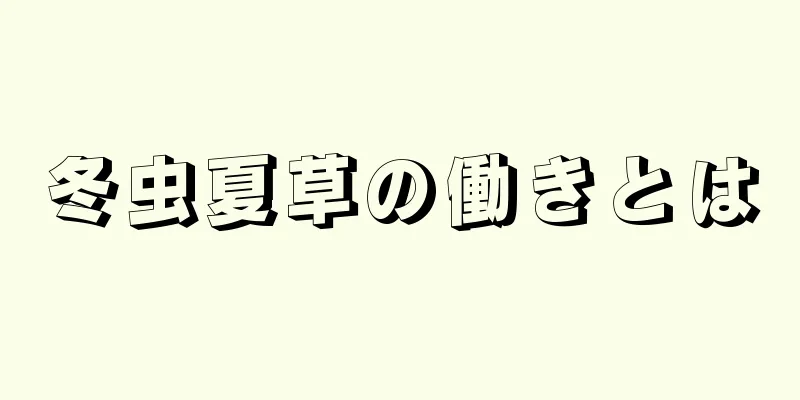 冬虫夏草の働きとは