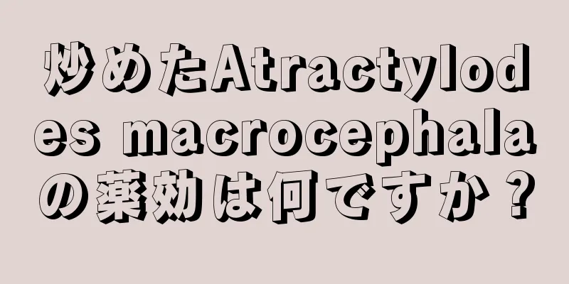 炒めたAtractylodes macrocephalaの薬効は何ですか？