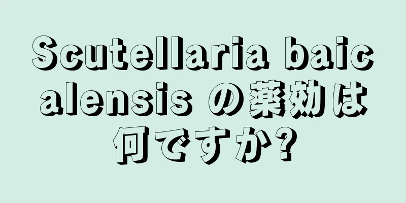 Scutellaria baicalensis の薬効は何ですか?