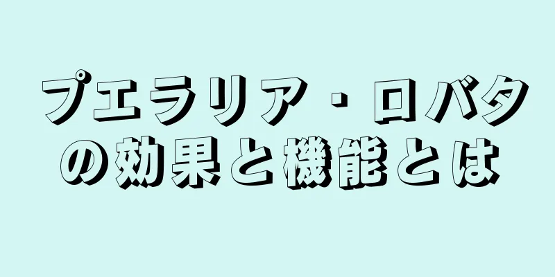 プエラリア・ロバタの効果と機能とは